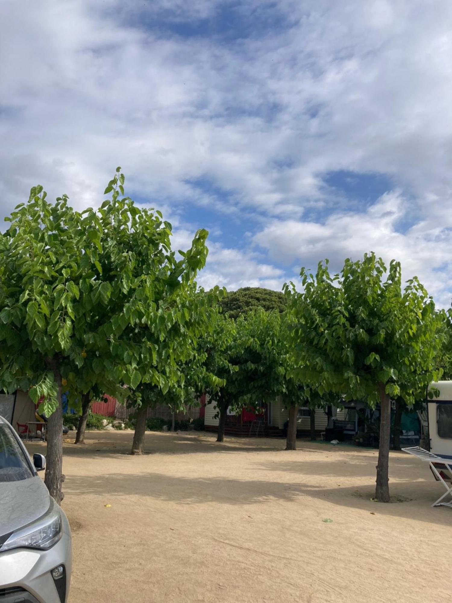 Camping El Pinar Platja Santa Susanna Extérieur photo